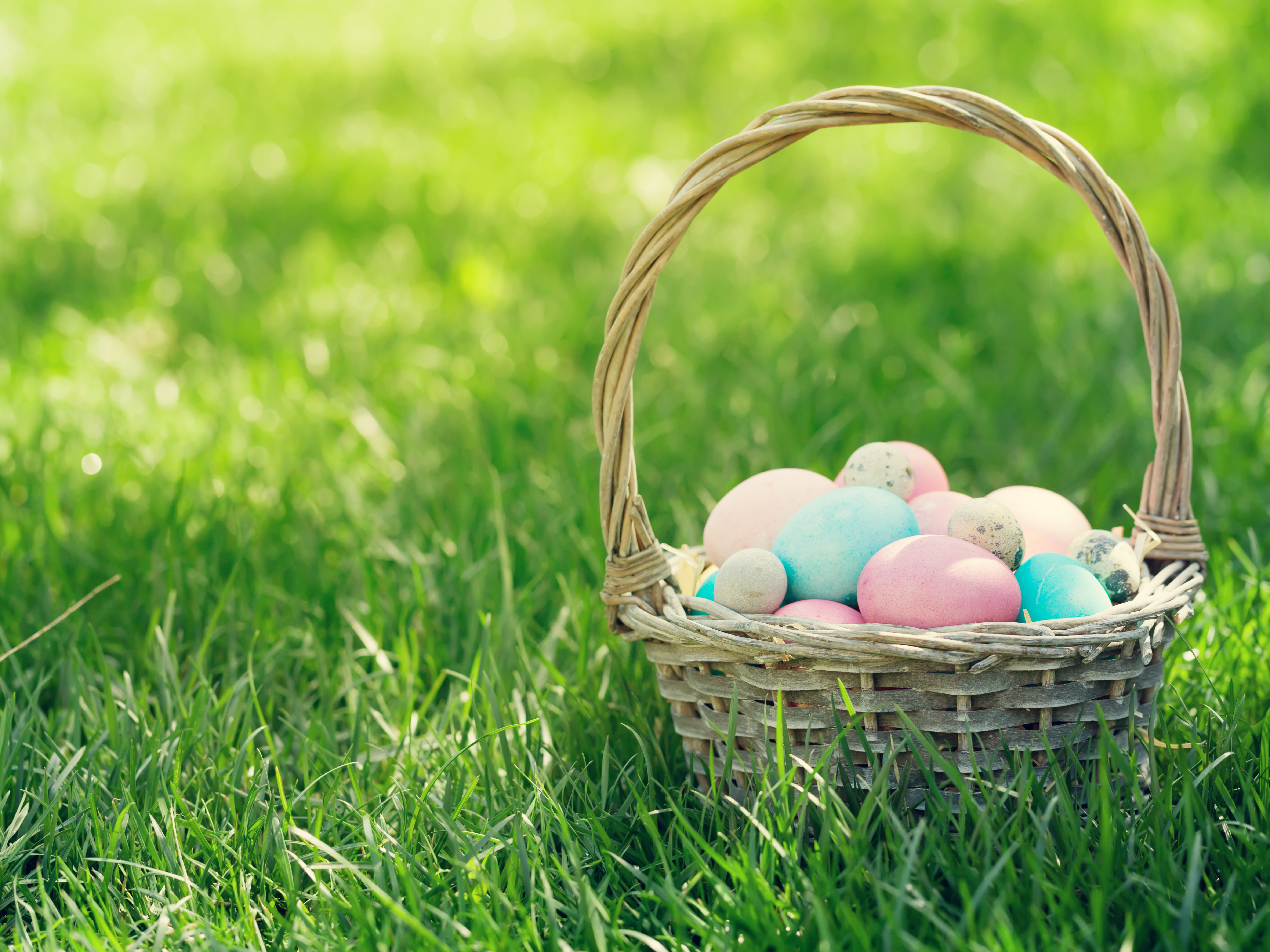 Kurv med påskeæg på græsplæne